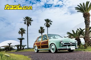 カスタムCAR の投稿