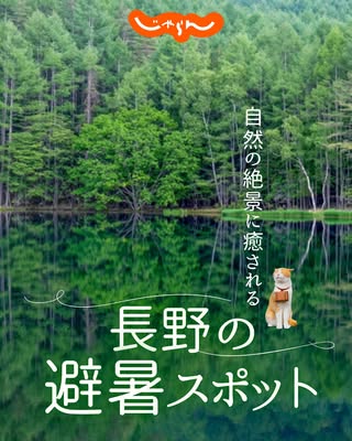 じゃらん【公式】 の投稿