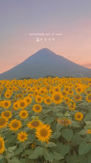 JPNガラス玉｜絶景旅行 の投稿