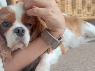 サチ｜軽バンひとり旅 の投稿