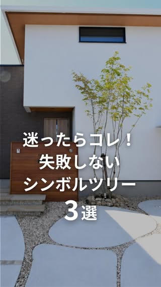 ノエル（noel） の投稿