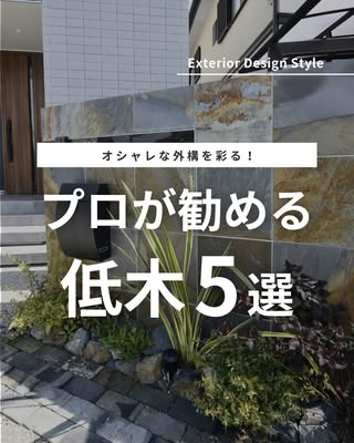 ノエル（noel） の投稿