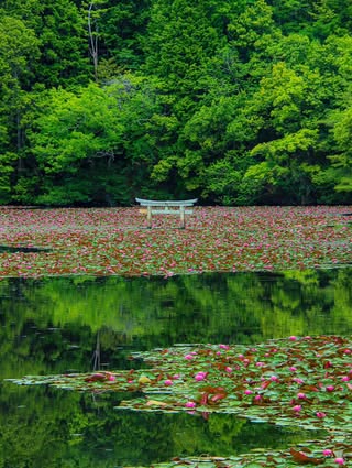 おとな旅プレミアム の投稿