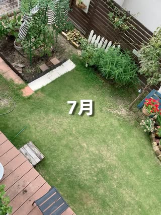 庭のある暮らし（庭DIY・家庭菜園・花） の投稿