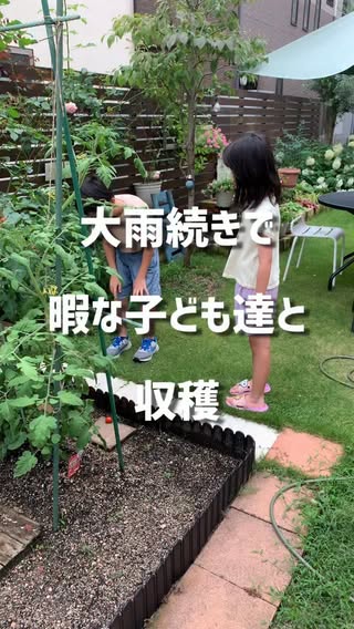 庭のある暮らし（庭DIY・家庭菜園・花） の投稿