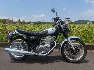 sunflower｜ドラスタ400・SR400 の投稿